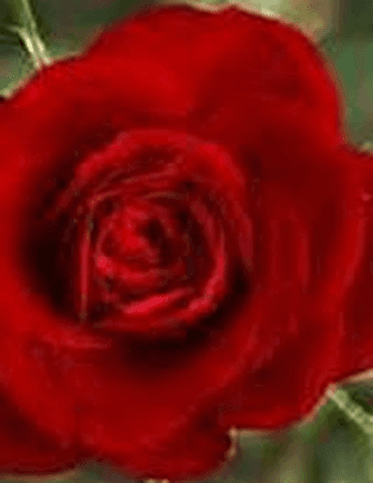 Marjorie  Berniece (Mallett) Reeves Obituary