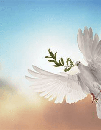 Lillian Charlotte Hartwick Obituary